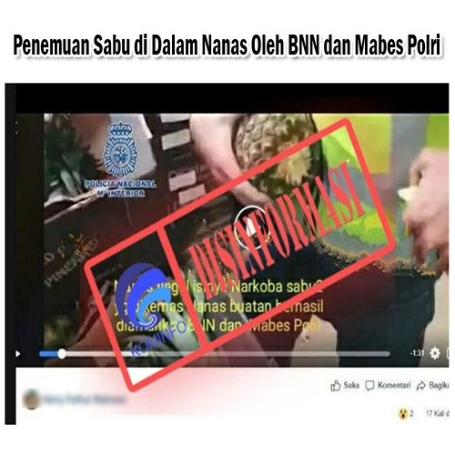 Penemuan Sabu Dalam Nanas Oleh BNN dan Mabes Polri