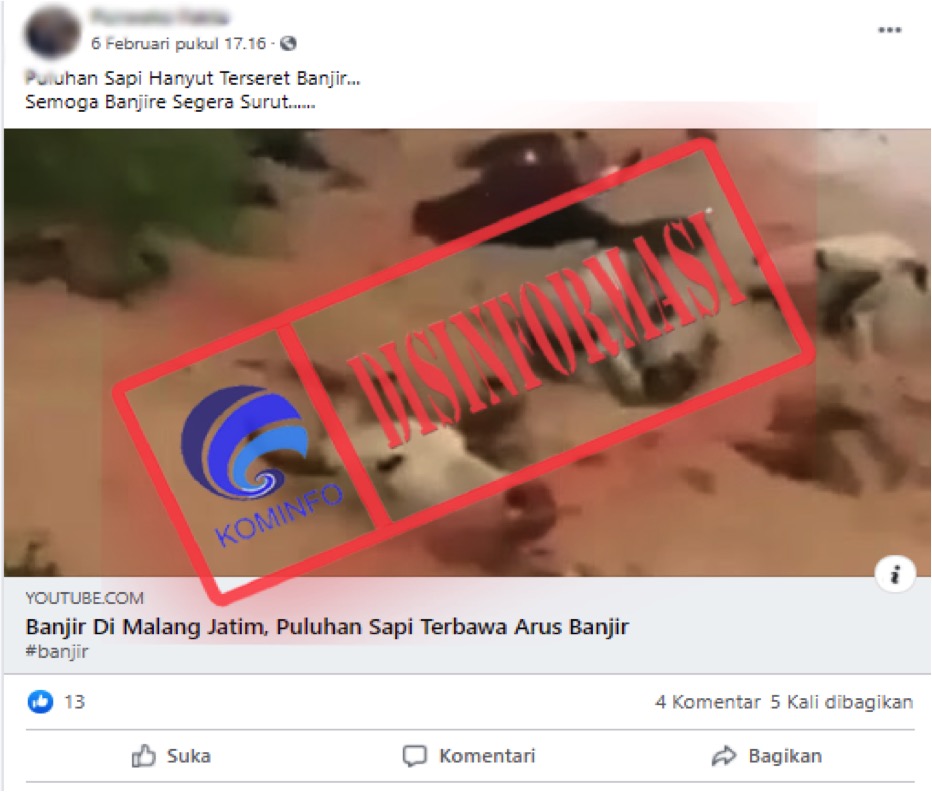 Video Penampakan Sejumlah Sapi Hanyut Tersapu Banjir Bandang di Malang