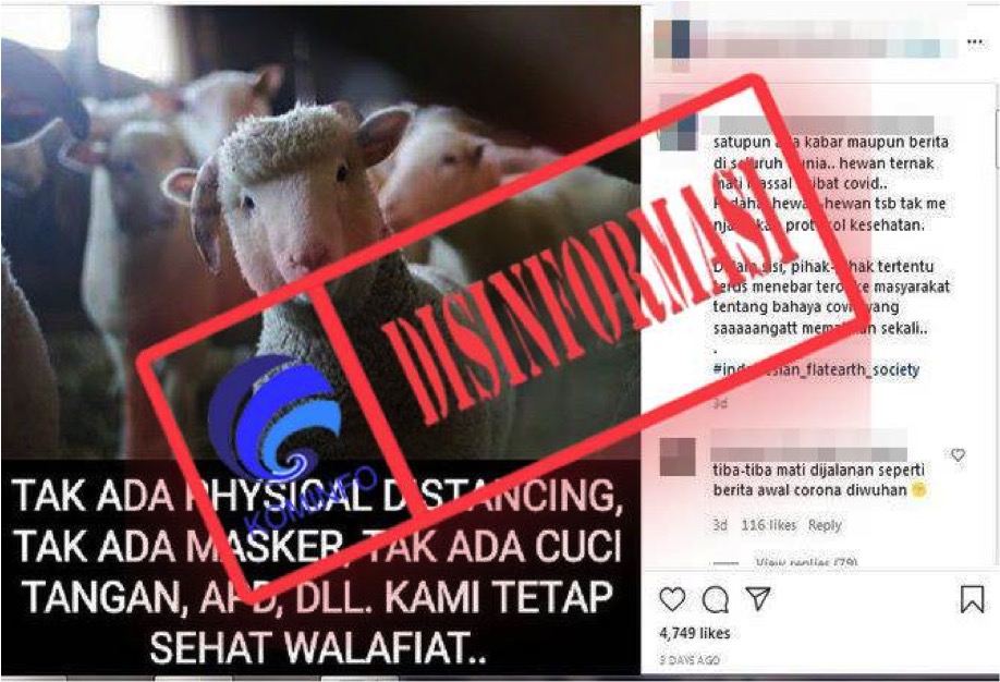 Hewan Ternak Lebih Kebal Terhadap Covid-19