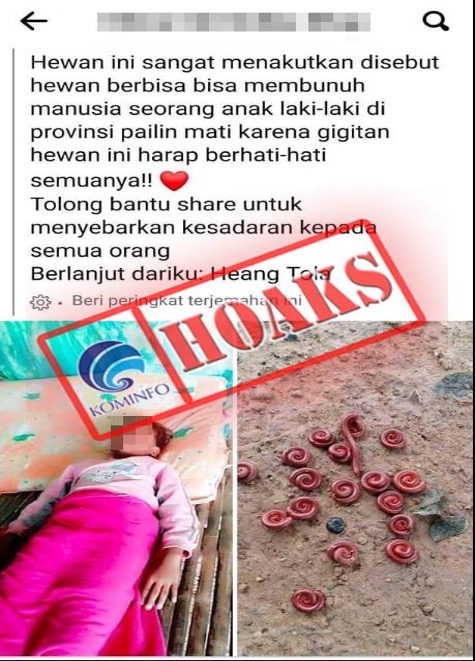 Luing Memiliki Bisa yang Mematikan