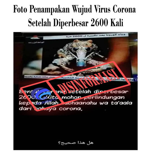 Foto Penampakan Wujud Virus Corona Setelah Diperbesar 2600 Kali