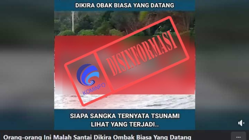 Video Tsunami Menyapu Pengunjung Pantai