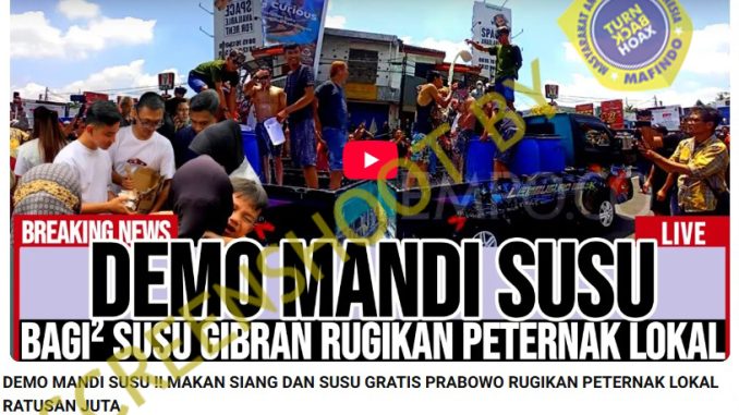 Gibran “Bagi-Bagi Susu Gratis” Merugikan Peternak Lokal