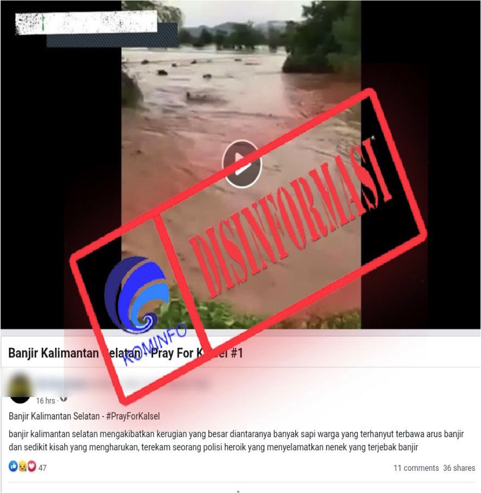 Potongan Video Sapi Hanyut akibat Banjir Kalimantan Selatan