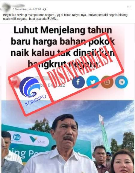 Tangkapan Layar Artikel “Luhut Menjelang tahun baru harga bahan pokok naik kalau tak dinaikan bangkrut negara”