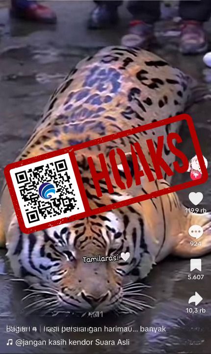 Video Hasil Persilangan Harimau dan Anjing Laut