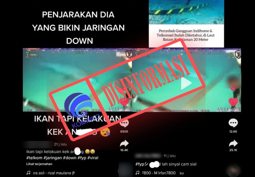 Video Rekaman Hiu Penyebab Jaringan Telkomsel Down