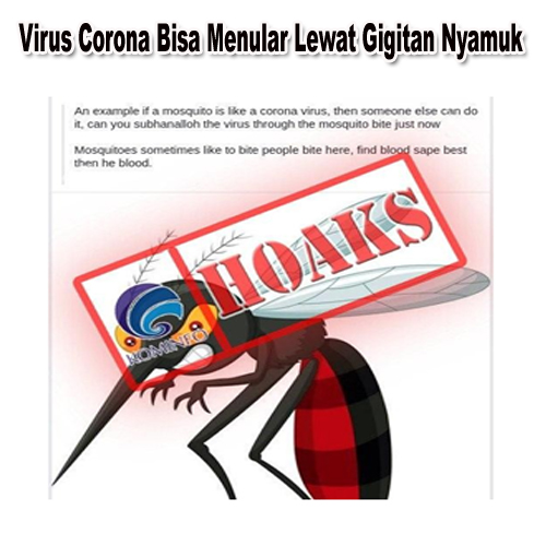 Virus Corona Bisa Menular Lewat Gigitan Nyamuk