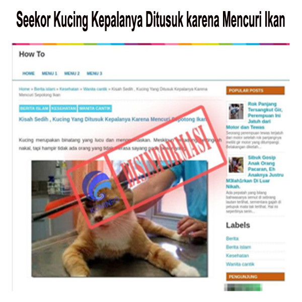 Seekor Kucing Kepalanya Ditusuk karena Mencuri Ikan