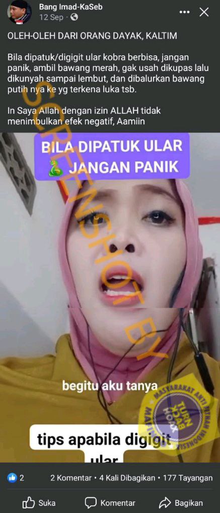 Bawang Merah Bisa Sembuhkan Gigitan Ular