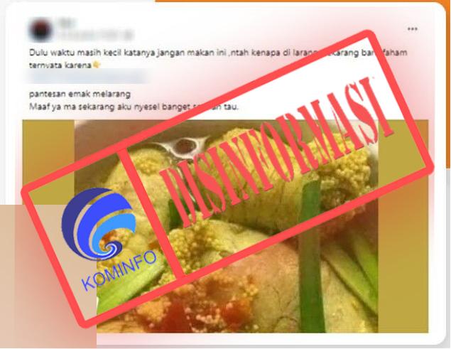 Telur Ikan Berbahaya bagi Kesehatan