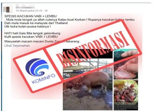 Hewan Ternak Hasil Kawin Silang Babi dengan Sapi