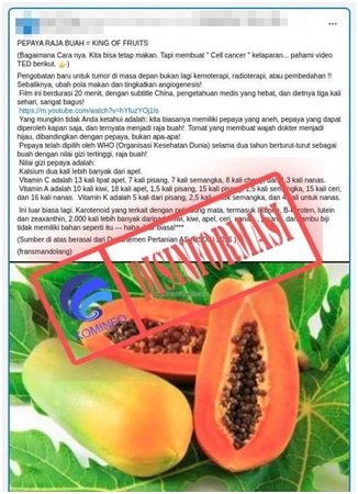 WHO Sebut Pepaya Sebagai Buah Bergizi Tertinggi