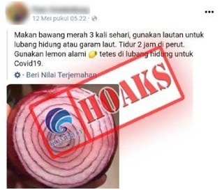 Memakan Bawang Merah dan Meneteskan Air Perasan Lemon ke Hidung Dapat Mengobati Covid-19